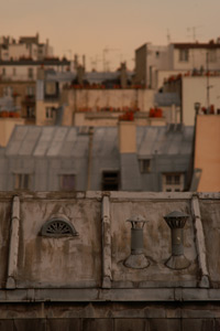 Paris roofs